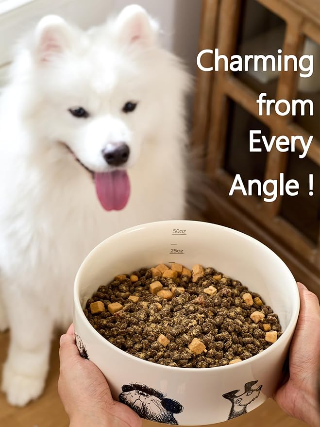 Ceramic Dog Bowl with Non-Slip Ring - 6.5 Cups, Heavy-Duty Stoneware Bowl, Pet Feeding, Microwave and Dishwasher Safe-Derpy-L (Single Bowl)