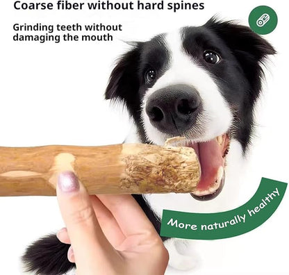 Natural coffee wood, Large Dog Chew Toy Set（1Throwing and chewing on the rope knot toy+1Coffee wood chewing stick）. Sturdy and Durable, Fun and Healthy, It Is the Ideal Toy Exclusively for Dogs