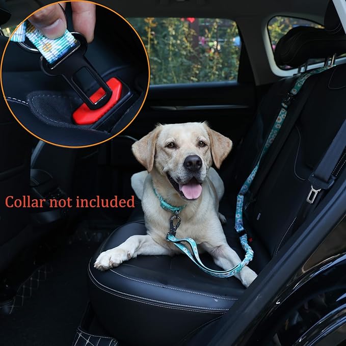 Hands Free Dog Leash, No Pull Bungee Dog Running Waist Leash, with Car Seat Belt, Reflective Stripes, Heavy Duty for Medium and Large Dogs. (Daisy Green, Large)