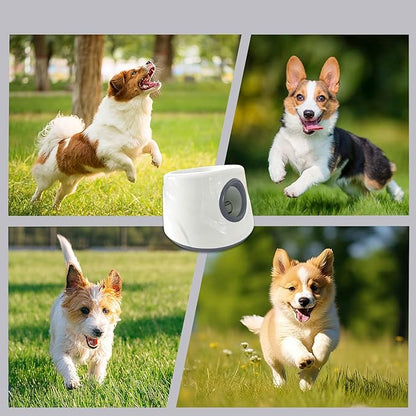 Pack of 1 Bright Dog Toy Starter with Modifiable Extent Thin Plan Water Immune for Play Transportable Starter