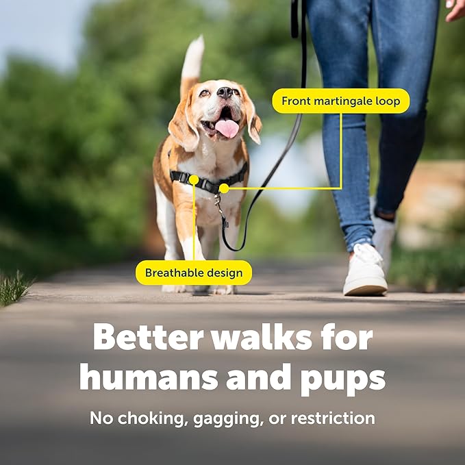 PetSafe Easy Walk Harness for Dogs - Pull-Free Walks - Martingale Loop Design - Front Chest Leash Attachment - Adjustable Comfort Straps - Breathable Harness Design - Small/Medium, Raspberry/Gray