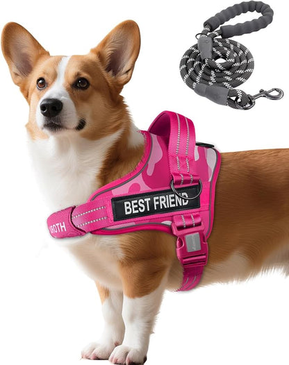 AUROTH Dog Harness and Leash Set, Soft Padded Service Dog Vest with 5.25FT Dog Leash, No Choke, Easy On Pet Vest, Adjustable Reflective No Pull Dog Harness Small Sized Dog, Easy Walking and Training