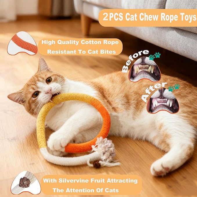 11-Piece Interactive Cat Toys for Indoor Cats, 2 Bendable Rope Toys, 4 Mice, 2 Springs, 2 Bell Balls & Feather Teaser - Kitten Chew Toys and Cat Supplies