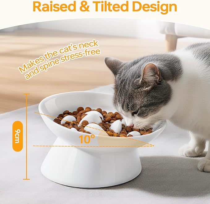 PETTOM Slow Feeder Cat Bowl, Ceramic Raised Cat Slow Feeder Bowl, Elevated, Anti Vomiting for Dry and Wet Food, White (1 Pack)