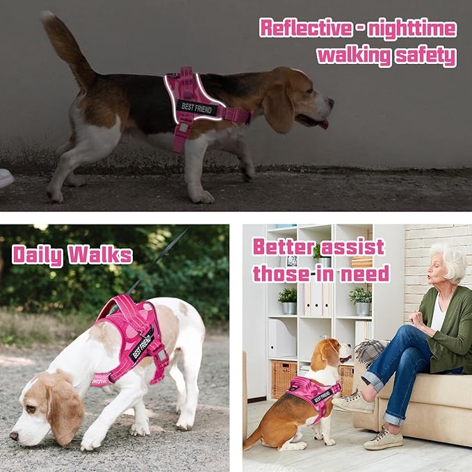 AUROTH Dog Harness and Leash Set, Soft Padded Service Dog Vest with 5.25FT Dog Leash, No Choke, Easy On Pet Vest, Adjustable Reflective No Pull Dog Harness for Large Dogs, Easy Walking and Training