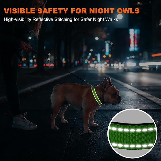Taglory Reflective Dog Collar with Safety Locking Buckle, Soft Neoprene Padded Dog Collar for Small Dogs, Metal D-Ring, Adjustable Nylon Neck Strap for Daily Walking, Training & Running, Green, S