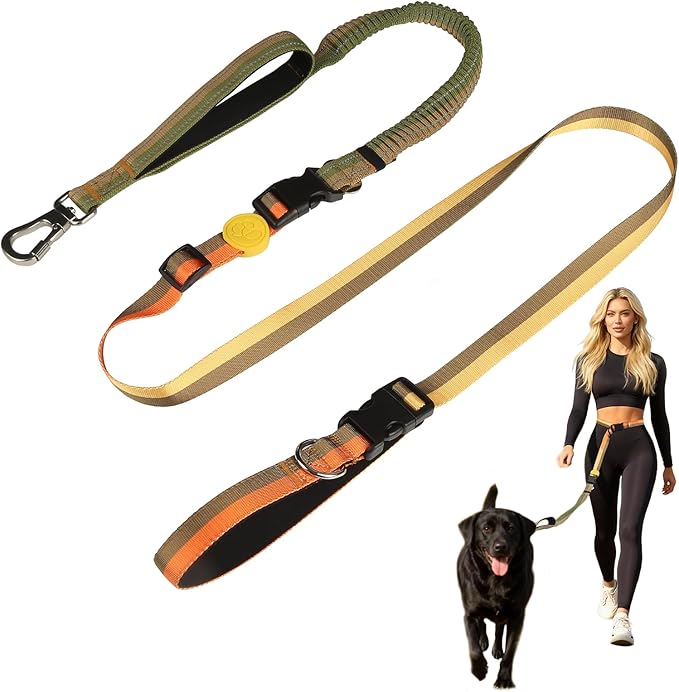 EVERKING 6-in-1 Hands-Free Dog Leash, Adjustable Elastic Reflective Nylon, Dual-Handle Shock Absorbing, 6 Feet, for Small to Large Dogs 30-150lbs (Golden Olive)