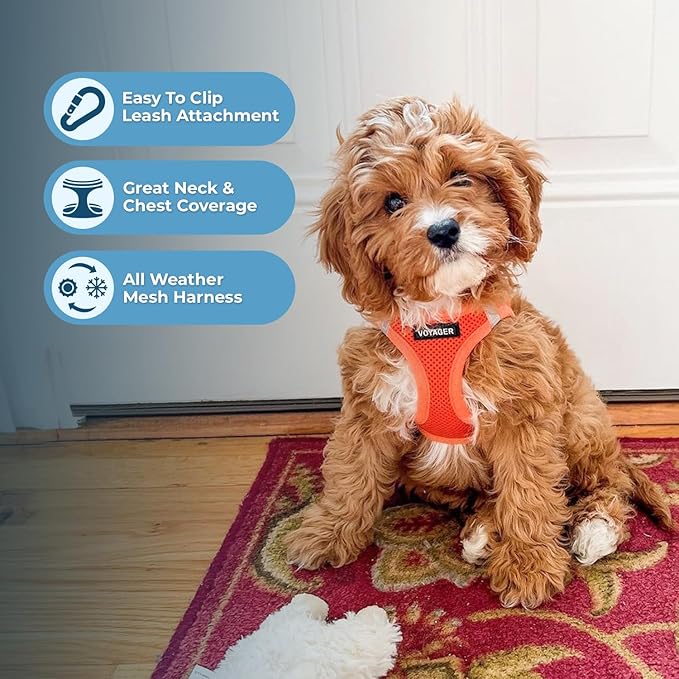 Best Pet Supplies Voyager Step-in Air Harness - All Weather Mesh, Reflective, No Pull Harness for Dogs, Cats - Secure with Hook & Loop Fastener, Buckle, Double D-Rings - Orange, M