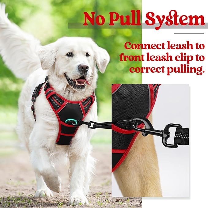 rabbitgoo Dog Harness No Pull with 2 Leash Clips, Adjustable Soft Padded, Reflective Oxford No Choke Pet Vest with Easy Control Handle for Large Dogs, Black & Red, L