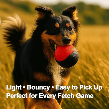 Squeaky Dog Toy – Durable Rubber Dog Ball for Medium & Large Dogs, Tough Interactive Fetch Toy for Chewers, Outdoor Training & Play Ball, Floating Water Play Gift.Red Black