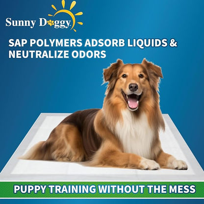 Pee Pads for Dogs, Puppy Pads Pet Training Pads Disposable Upgraded Odor Control, Potty Pads Absorbent and Leak-Proof Dog Housebreaking & Puppy Supplies (22"x22"/30 Count)