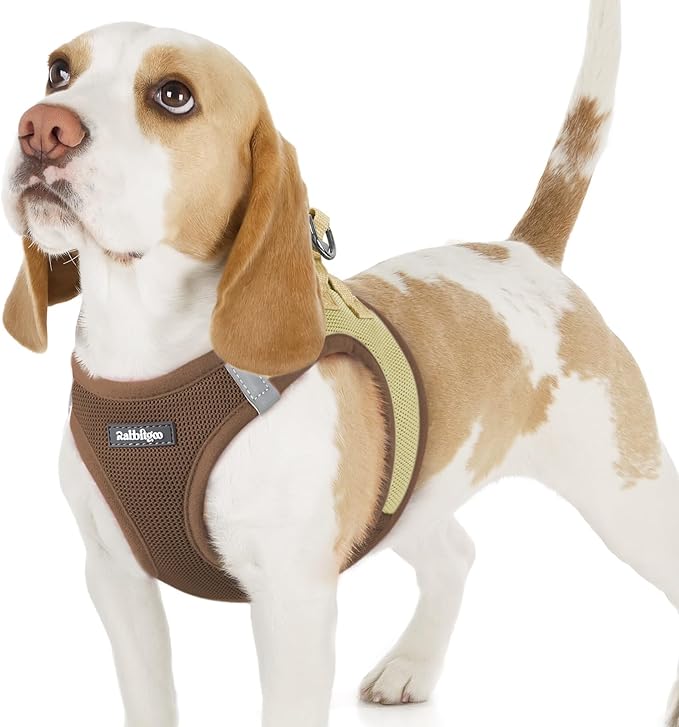 rabbitgoo Small Dog Harness, Step-in Soft Mesh Puppy Vest with Safety Buckle, Breathable Reflective Pet Harness for Small Sized Dogs, Brown & Beige M