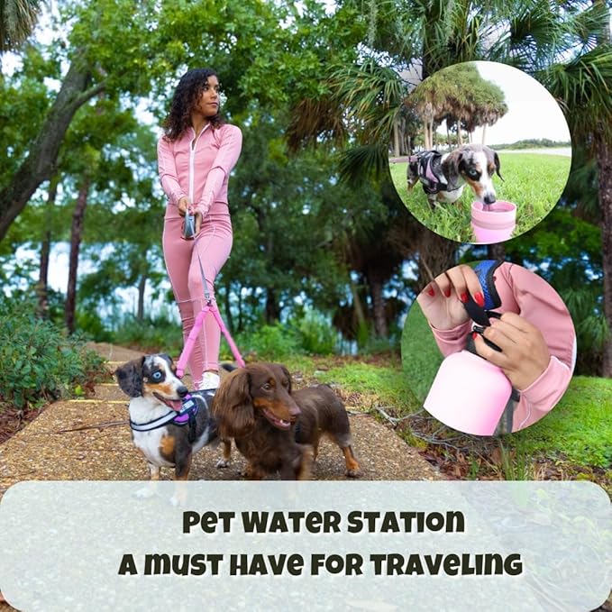OhmyPet | Pet Water Bottle Station with 3 Bowls and 32oz Bottle, Pink or Blue | for Traveling Hiking Outing