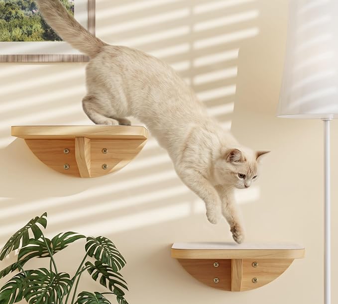 Wall Mounted Cat Steps 2 Pack – Square Wood Cats Shelves with Felt Cushions for Climbing, Jumping & Resting