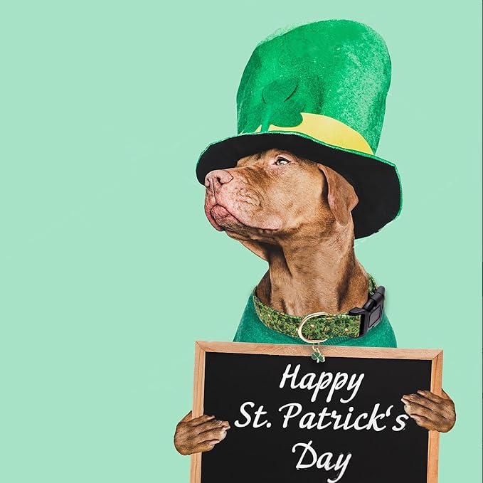 Faygarsle St Patrick's Day Dog Collar Cute Holiday Collar for Small Medium Large Dogs Green Trefoil Print Lucky Straw Cotton Dog Collar M