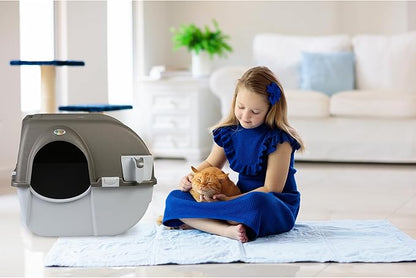 Omega Paw NRA15 Self Cleaning Litter Box Regular Size,Grey