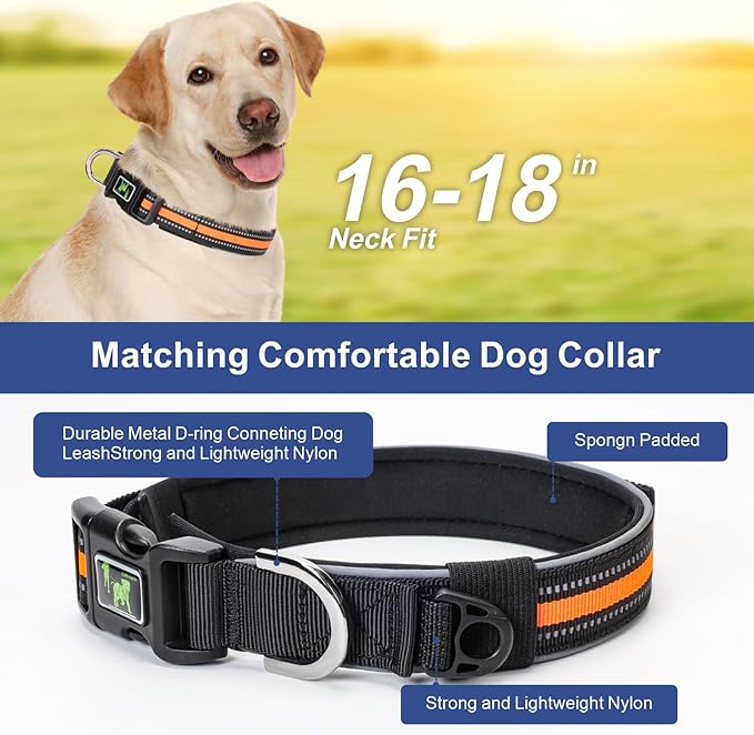 Hands Free Dog Leash - Dog Collar with Adjustable Waist Belt, 2 Bungees Shock Absorbing, Dual Handles for Walking Running Jogging, Reflective Knitted