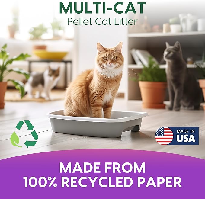 Fresh News Recycled Paper Multi-Cat Pellet Non-Clumping Paper Cat Litter, 25 Pound, 2X Odor Control, Made in USA