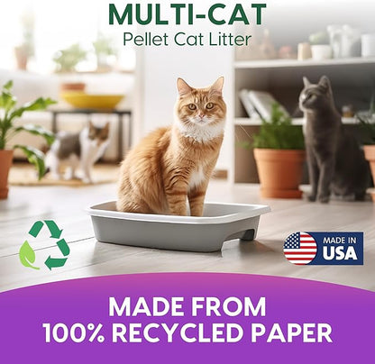 Fresh News Recycled Paper Multi-Cat Pellet Non-Clumping Paper Cat Litter, 25 Pound, 2X Odor Control, Made in USA