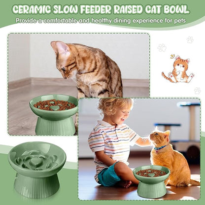 Tioncy 2 Pcs Raised Cat Slow Feeder Bowl Ceramic Elevated Cat Dog Food Bowl No Spill High Edge for Dry Wet Food and Water Easy to Clean, Dishwasher Safe(Sage Green)