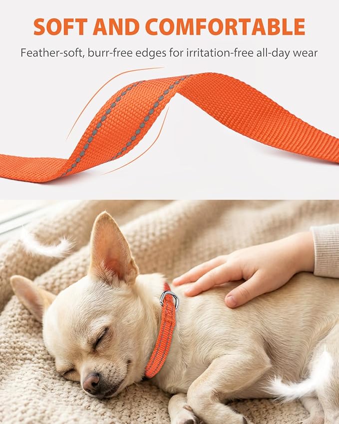 Joytale Puppy Collar, Feather-Light Double-Sided Reflective Nylon Collar for Night Safety, Adjustable Quick-Release for Extra Small Dogs, Orange, XS (3/8" Width)