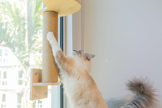 4-in-1 Window & Wall Mount Cat Wall Shelves – Hammock, Scratching Post & Perch | Fits up to 40 lbs | Space-Saving Pet Furniture for Windows, Glass & Drywall | Modern Wood Cat Shelf Set