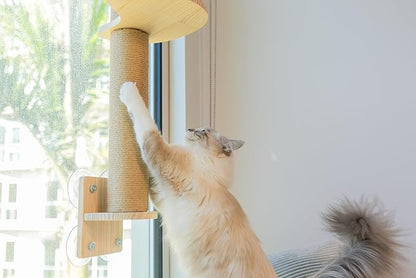 4-in-1 Window & Wall Mount Cat Wall Shelves – Hammock, Scratching Post & Perch | Fits up to 40 lbs | Space-Saving Pet Furniture for Windows, Glass & Drywall | Modern Wood Cat Shelf Set
