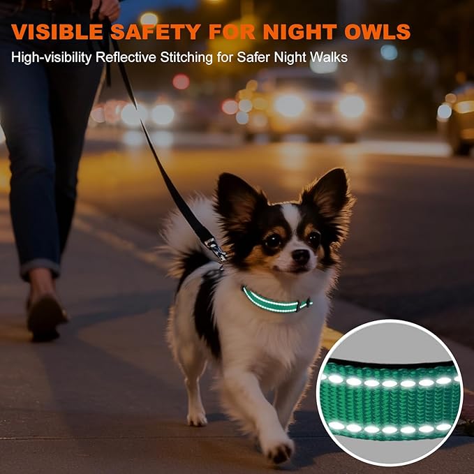 Taglory Reflective Dog Collar with Safety Locking Buckle, Soft Neoprene Padded Dog Collar for Puppy Dogs, Metal D-Ring, Adjustable Nylon Neck Strap for Daily Walking, Training & Running, Turquoise, XS