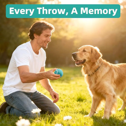 2.5" Dog Tennis Balls 6-Pack Silent Bounce, Tough Rubber Core, Durable Fetch & Training Toys for Indoor/Outdoor Play, for Small Medium Large Dogs (MARRS Green, 6 Pack)