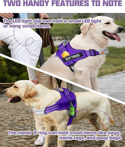 AUROTH Dog Harness and Leash Set, Soft Padded Service Dog Vest with 5.25FT Dog Leash, No Choke, Easy On Pet Vest, Adjustable Reflective No Pull Dog Harness Small Sized Dog, Easy Walking and Training