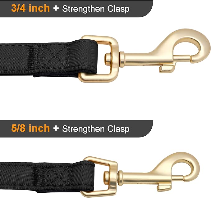 Didog 5FT Colorful Nylon Dog Leash with Soft Full-Length Padding, Lightweight and Durable Pet Leash for Small Dogs, Black, S