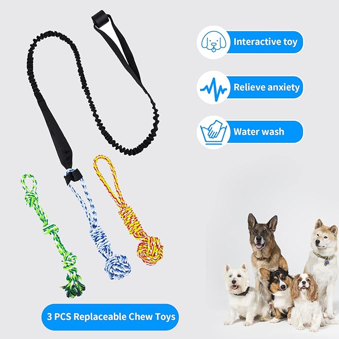Spring Pole Dog Rope Toys, Tree Bungee Hanging Dogs Toy Interactive Tether Tug Indoor Outdoor Exercise Chewer Ropes Dog Toys, Pull Tug Solo Play Rope for Medium Large Dog
