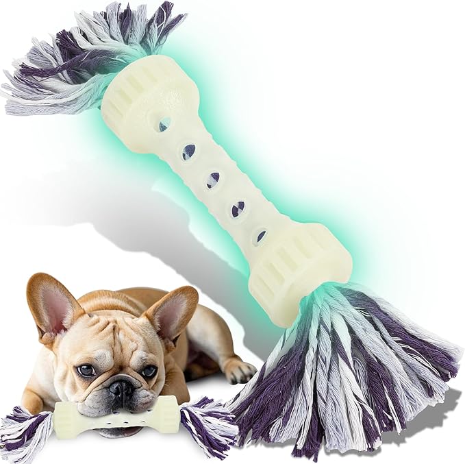 Glow-in-The-Dark Dog Toy – Interactive Fetch, Tug & Treat Puzzle for Small Dogs, 13” Lightweight Flying Disc with Dental Cleaning Texture, TPR & Rope Calming Chew Toy for Anxiety Relief