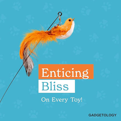 Bird Toy for Cats - 5 Pack Natural Feathers Stable Round Base - Interactive Wand Teaser - Self Play Hunting Enrichment - Bored Indoor Adult Feline Activity - Stimulating Kitten Juguetes para Gatos