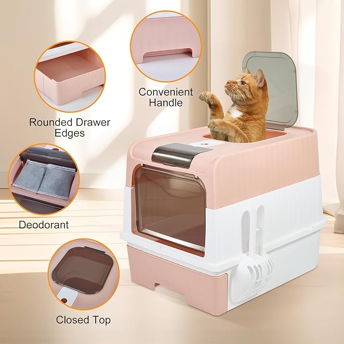 Cat Litter Box with Litter Mat, 18"x14"x13" Large Litter Box for Big Cats, Enclosed Removable Litter Boxs, Front Entry Top Exit Kitty Box, Odor Control, Easy to Clean (Pink)