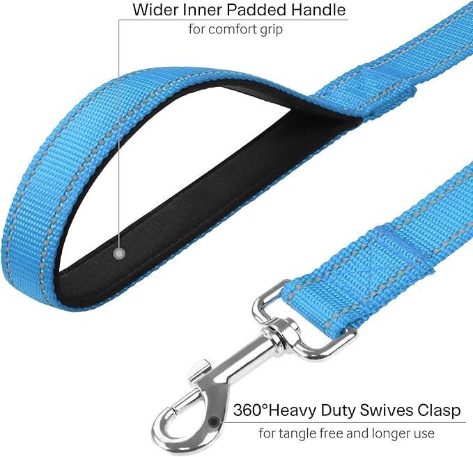 FunTags 6FT Reflective Dog Leash with Soft Padded Handle for Training,Walking Lead for Large & Medium Dog,1 Inch Wide,SkyBlue