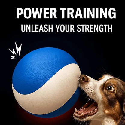 Squeaky Dog Toy – Durable Rubber Dog Ball for Medium & Large Dogs, Tough Interactive Fetch Toy for Chewers, Outdoor Training & Play Ball, Floating Water Play Gift.Ocean