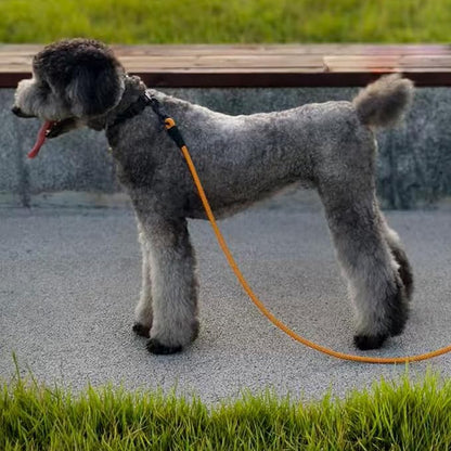 MayPaw Heavy Duty Rope Dog Leash, 6/8/10FT Nylon Pet Leash, Soft Padded Handle Thick Lead Leashes for Large Medium Dogs Walking Jogging (1/2" * 10', Orange)