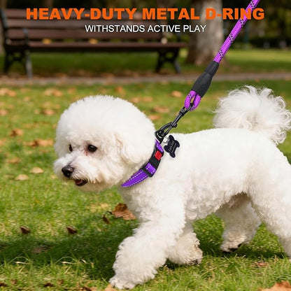 Taglory Reflective Dog Collar with Safety Locking Buckle, Soft Neoprene Padded Dog Collar for Puppy Dogs, Metal D-Ring, Adjustable Nylon Neck Strap for Daily Walking, Training & Running, Purple, XS