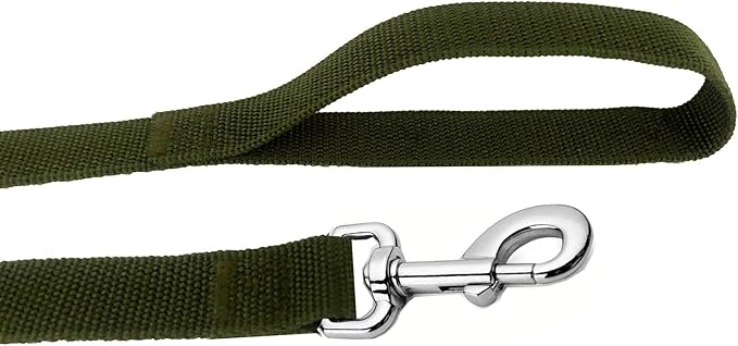 Strong Nylon Dog Leash, 4FT/ 5 FT/ 6FT Dog Leashes for Medium Large Dogs (6FT, Green)