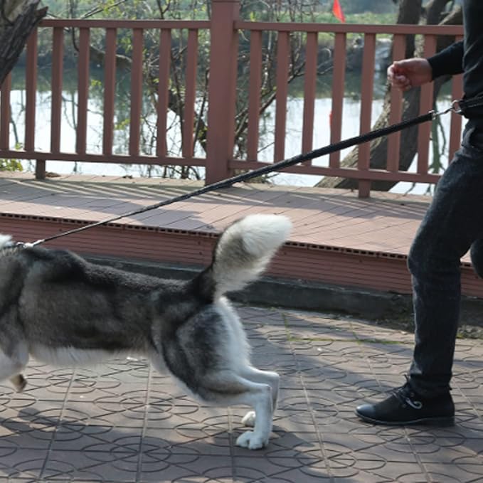 Hands Free Dog Leash, 1 PCS Dog Waist Belt with Leash Elastic Dog Running Belt with Waist Belt for Medium and Large Dog