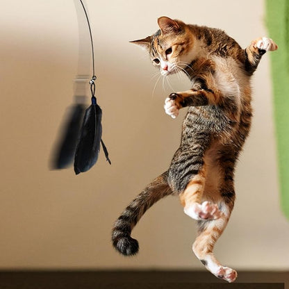 Cat Wand Toy - Flexible Cat Feather Stick Toy, Cat Teaser Stick with Detachable Feather | Easy to Install Cat Play Wand, Cat Stimulating Toy, Suction Cup Toy for Cats Exercise and Interactive Play