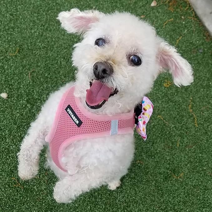 Best Pet Supplies Voyager Step-in Air Harness - All Weather Mesh, Reflective, No Pull Harness for Dogs, Cats - Secure with Hook & Loop Fastener, Buckle, Double D-Rings - Pink, XL