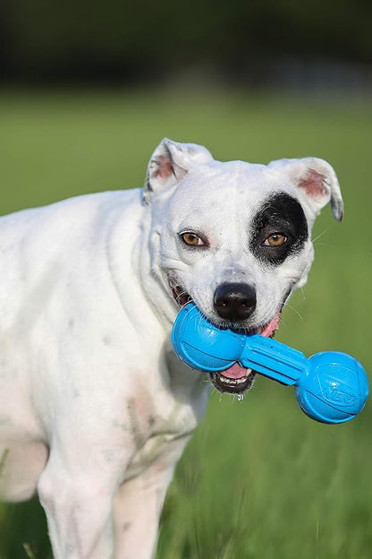 Nerf Dog Chewable Barbell Dog Toy, Lightweight, Durable and Water Resistant, 7.5 Inches, For Medium/Large Breeds, Two Pack, Blue and Green (8953)