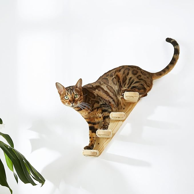 Wall-Mounted Cat Stairs, 4-Step Pine Wood Cat Ladder with Sisal Rope, Space-Saving Climbing Solution for Cats