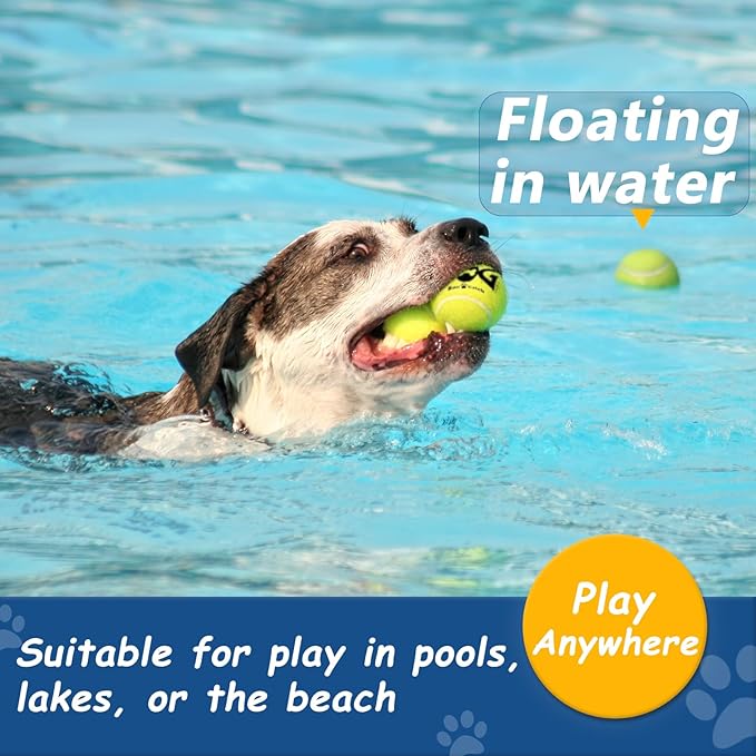 Squeaky Tennis Balls for Dogs, 6 Pack 2.5" Squeaky Dog Balls for Medium Large Breed, SGS Certified Non-Toxic, Interactive Fetch Toys, Perfect for Outdoor & Indoor Play