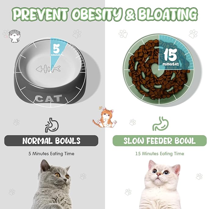 Tioncy 2 Pcs Raised Cat Slow Feeder Bowl Ceramic Elevated Cat Dog Food Bowl No Spill High Edge for Dry Wet Food and Water Easy to Clean, Dishwasher Safe(Sage Green)