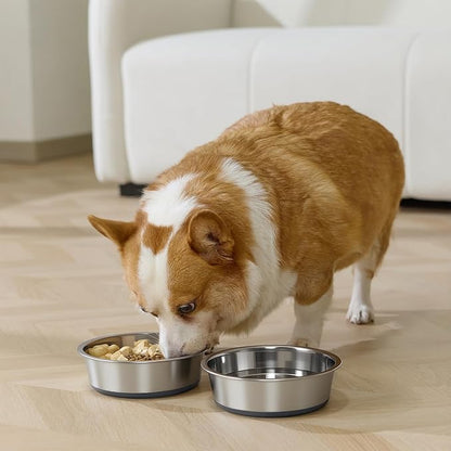 Dog Bowls Durable Heavy Duty Stainless Steel Dog Bowls Non-Slip Basic Bowl for Dogs with Rubber Base (2 Pack, 3 Cups)