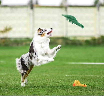 WishLotus 2Pc Dog Rope Toys, Cute Dinosaur and Yellow Duck Shaped Dog Toys for Aggressive Chewers, Cotton Dog Chew Toys for Small Medium Large Breed Teething (Dinosaur+Duck)