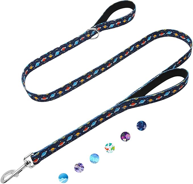 4ft Dog Leash with Two Padded Handles, Heavy Duty Strong Nylon Pet Leash with Soft Neoprene Handle for Small Medium Large Dogs, Blue Space
